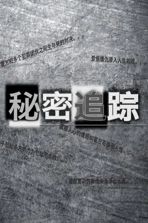 Theo Dấu Bí Mật
